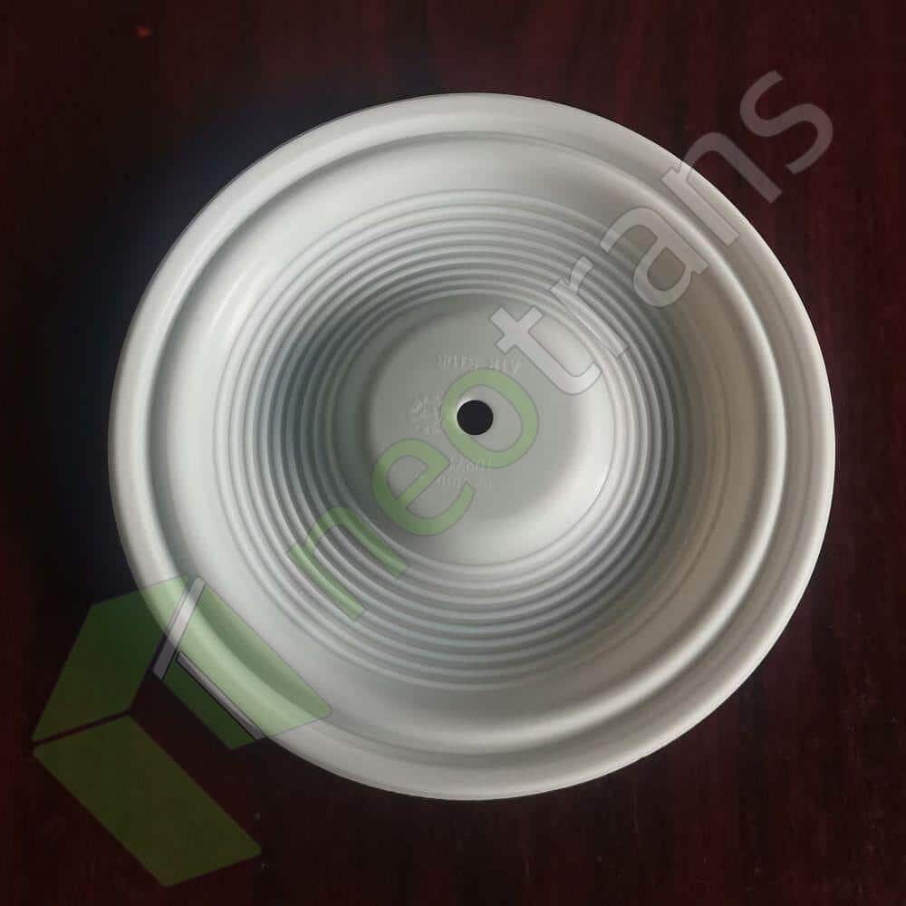 02-1010-55 Diyaframlı PTFE Fit Wilden Pompalar