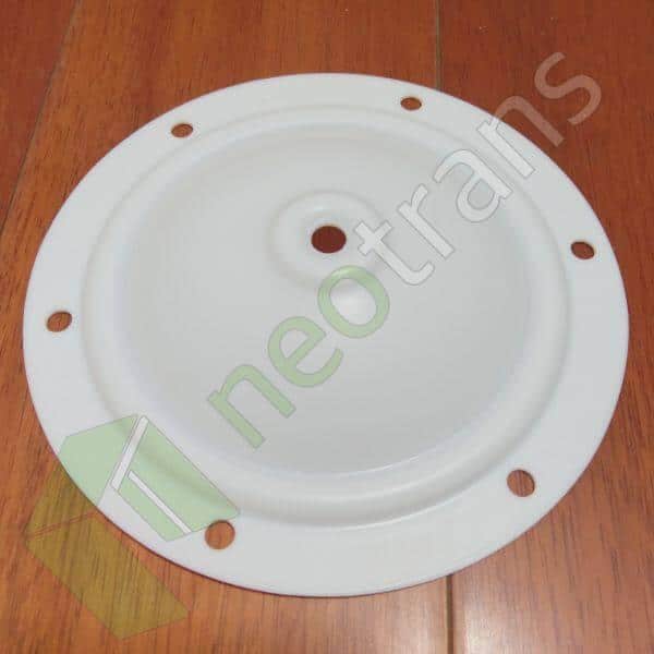 P15-033 Diyafram PTFE Fit Blagdon AODD Pompaları