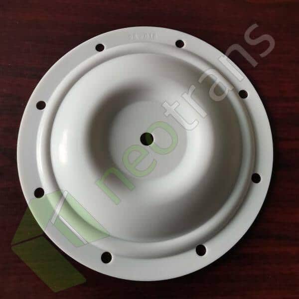 P25-016 Diyafram PTFE Fit Blagdon AODD Pompaları