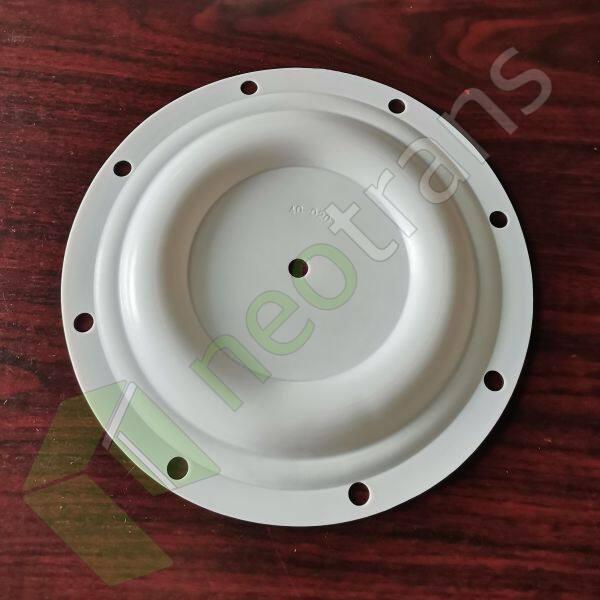 P40-020 Diyaframlı PTFE Fit Blagdon AODD Pompalar