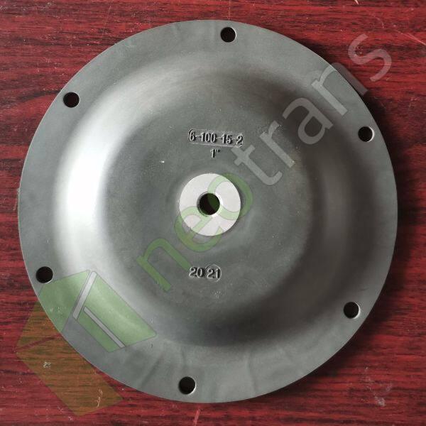 P6-100-15-2 Diyaframlı FKM Fit Tapflo Pompa Parçaları