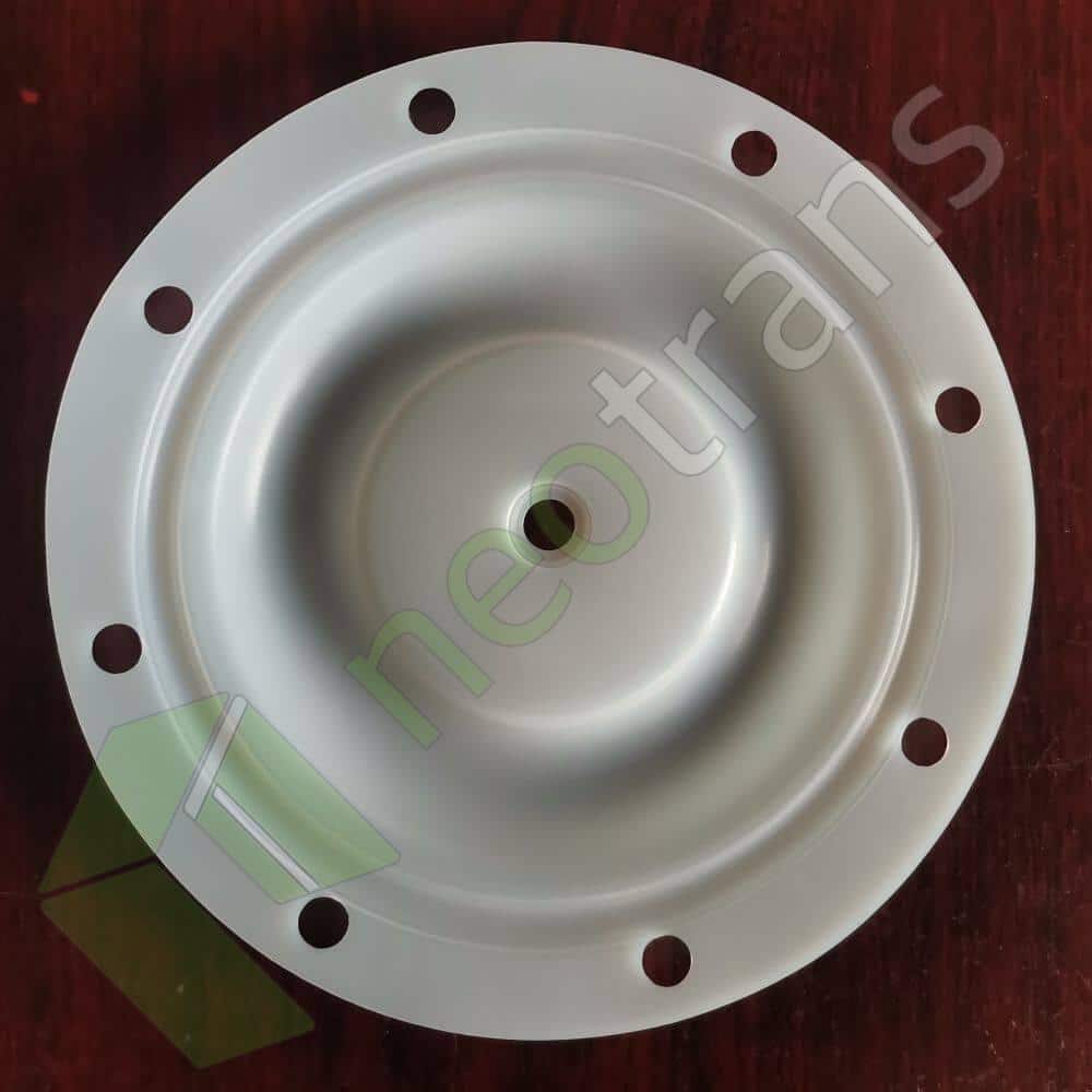 P6202 Diyaframlı PTFE Fit BSK Pompaları BA25XX