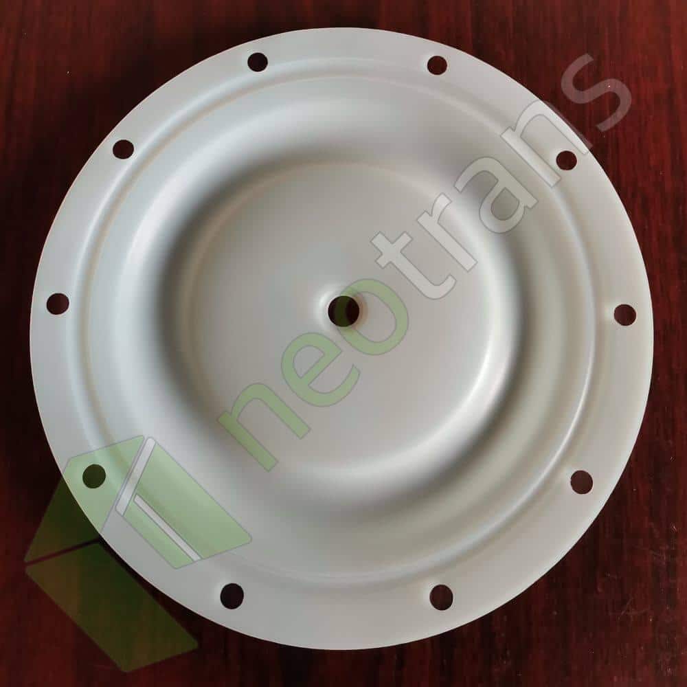 P6259 Diyaframlı PTFE Fit BSK Pompaları A40XX