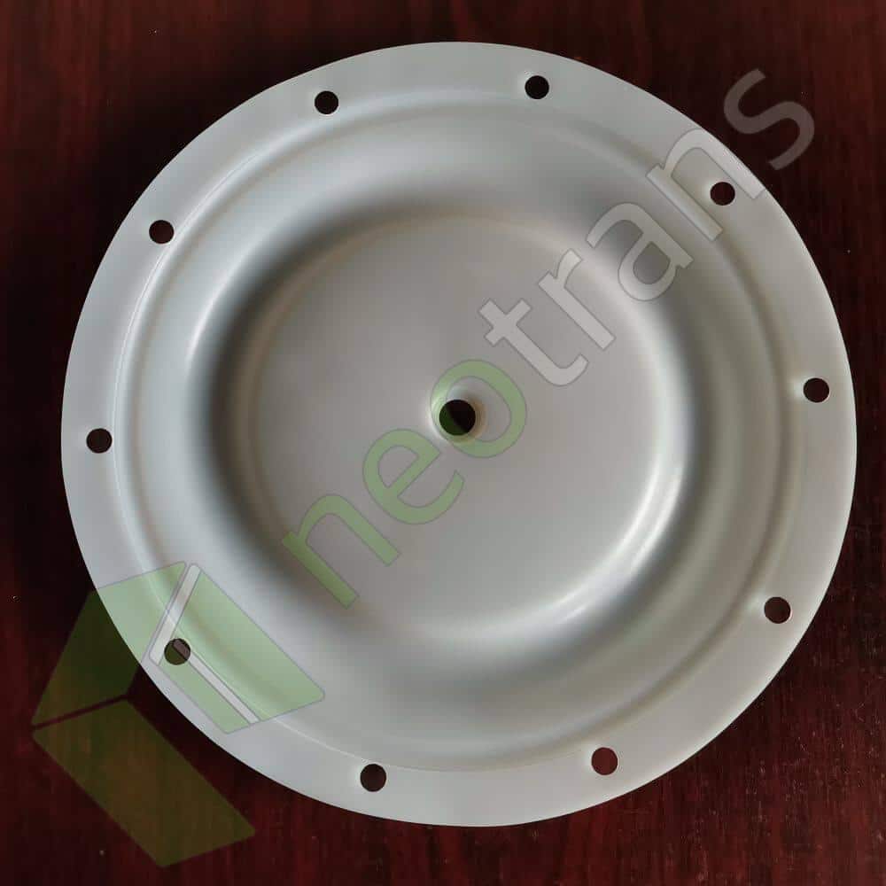 P6296 Diyaframlı PTFE Fit BSK Pompaları BA50XX