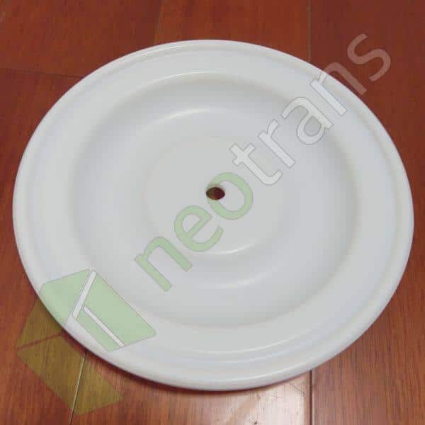 PV163TF Versa-Matic Diyafram PTFE