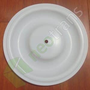 PV224TF Versa-Matic Diyafram PTFE