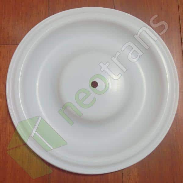 PV224TF Versa-Matic Diyafram PTFE