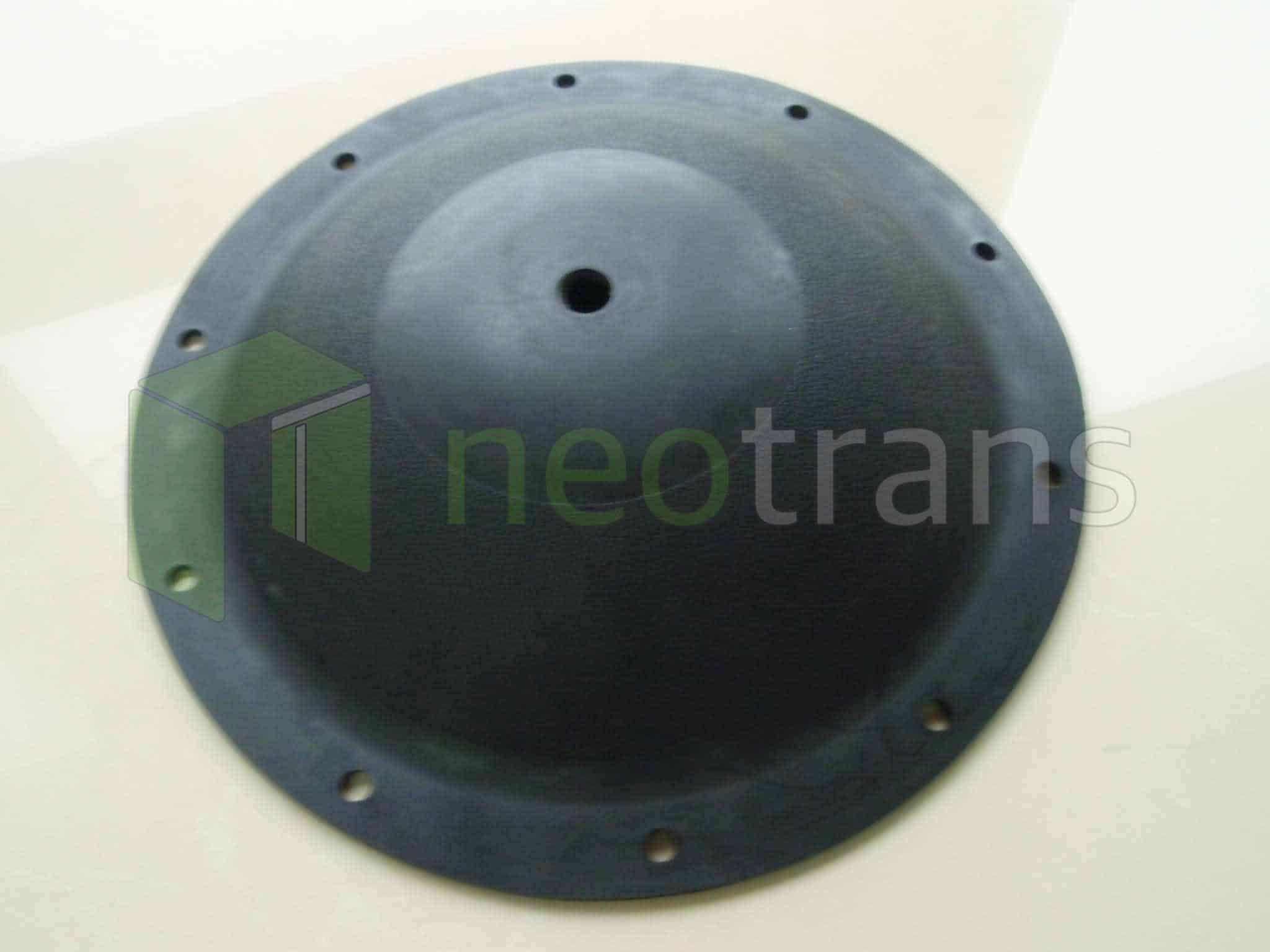 PV227BN Versa-Matic Diyafram Nitril